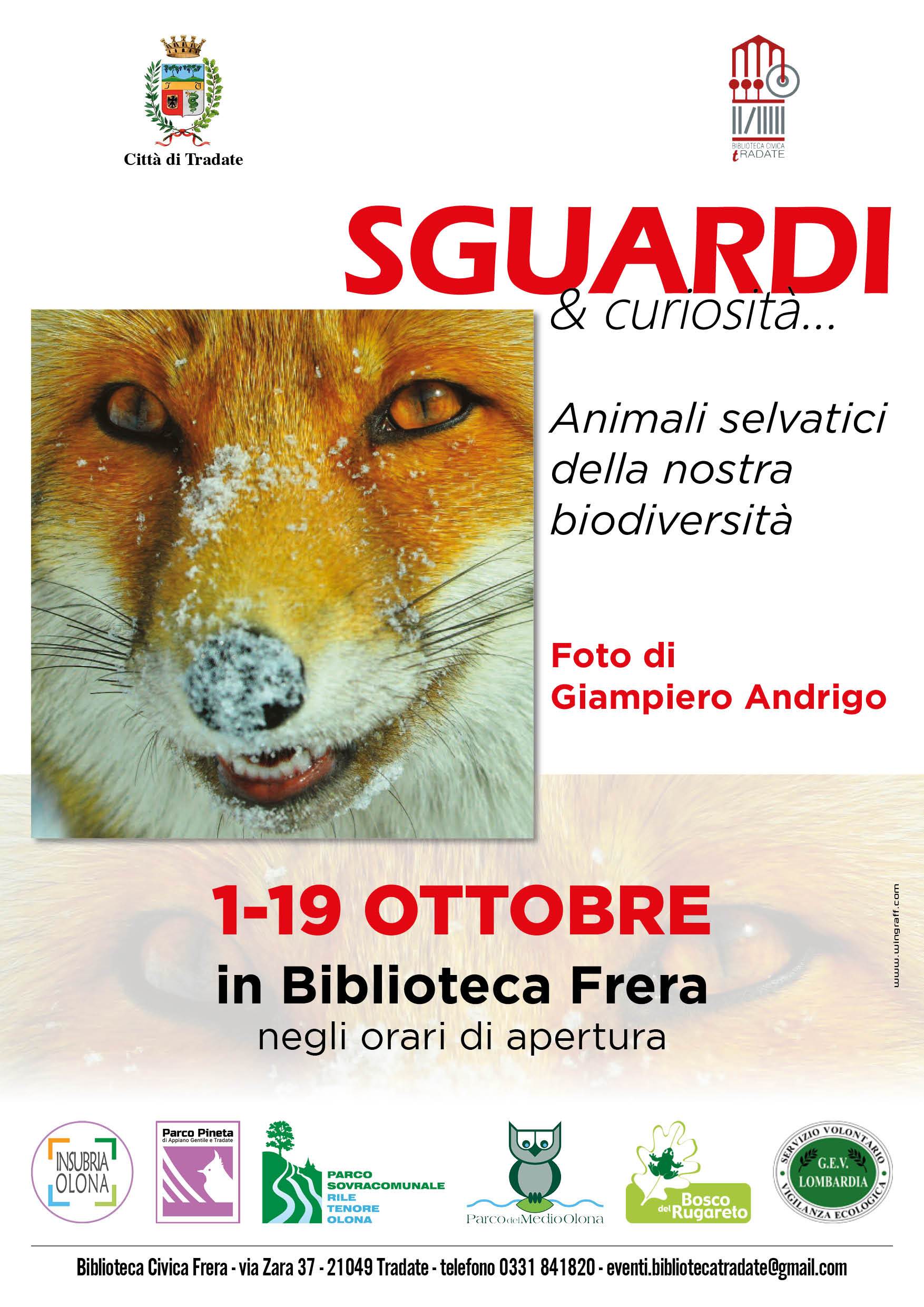 Sguardi & curiosità…Animali selvatici della nostra biodiversità